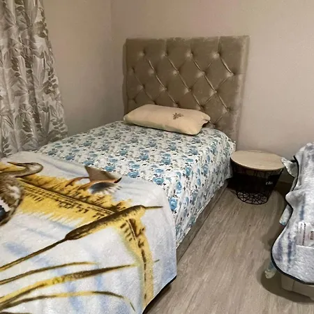 Center * Shkodra